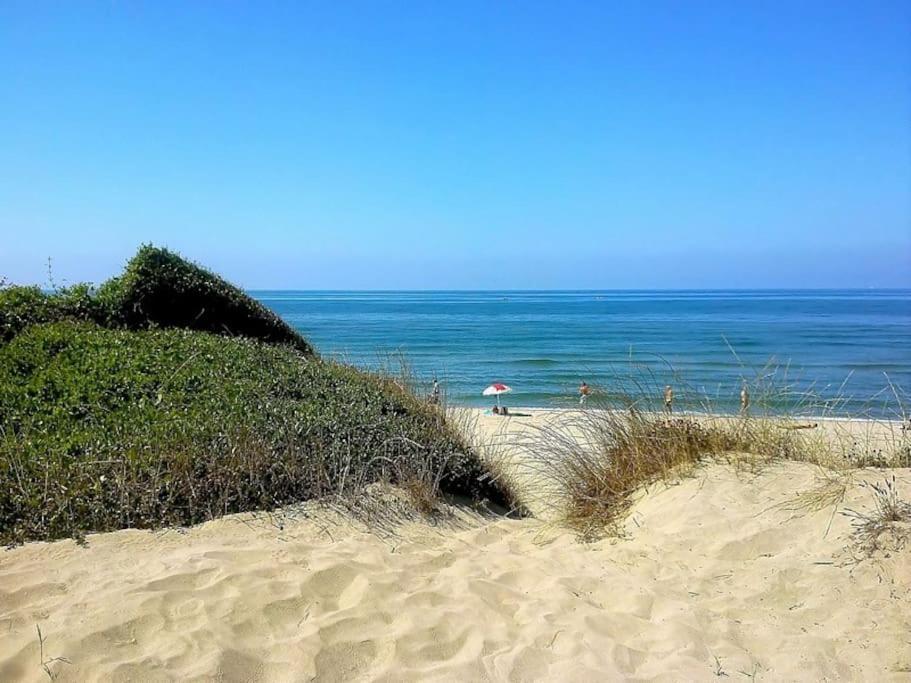 Sea Of Rome - Holiday Home Lido di Ostia Kültér fotó
